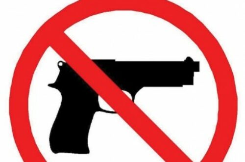 Article : STOP,  à la libéralisation des armes à feu !